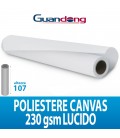 CANVAS POLIESTERE 230GR LUCIDO 30MTL GUANDONG H107