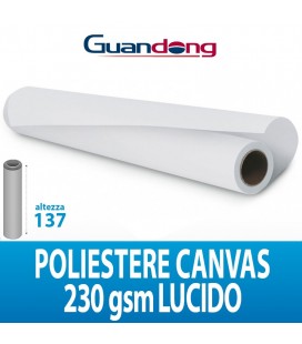 CANVAS POLIESTERE 230GR LUCIDO 30MTL GUANDONG H137