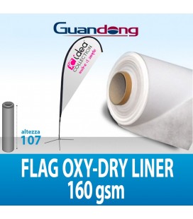 FLAG POLIESTERE CON OXY-DRY LINER 160GR OPACO 30MTL GUANDONG H107